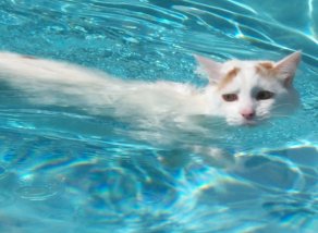 Squirt_011-sm.jpg